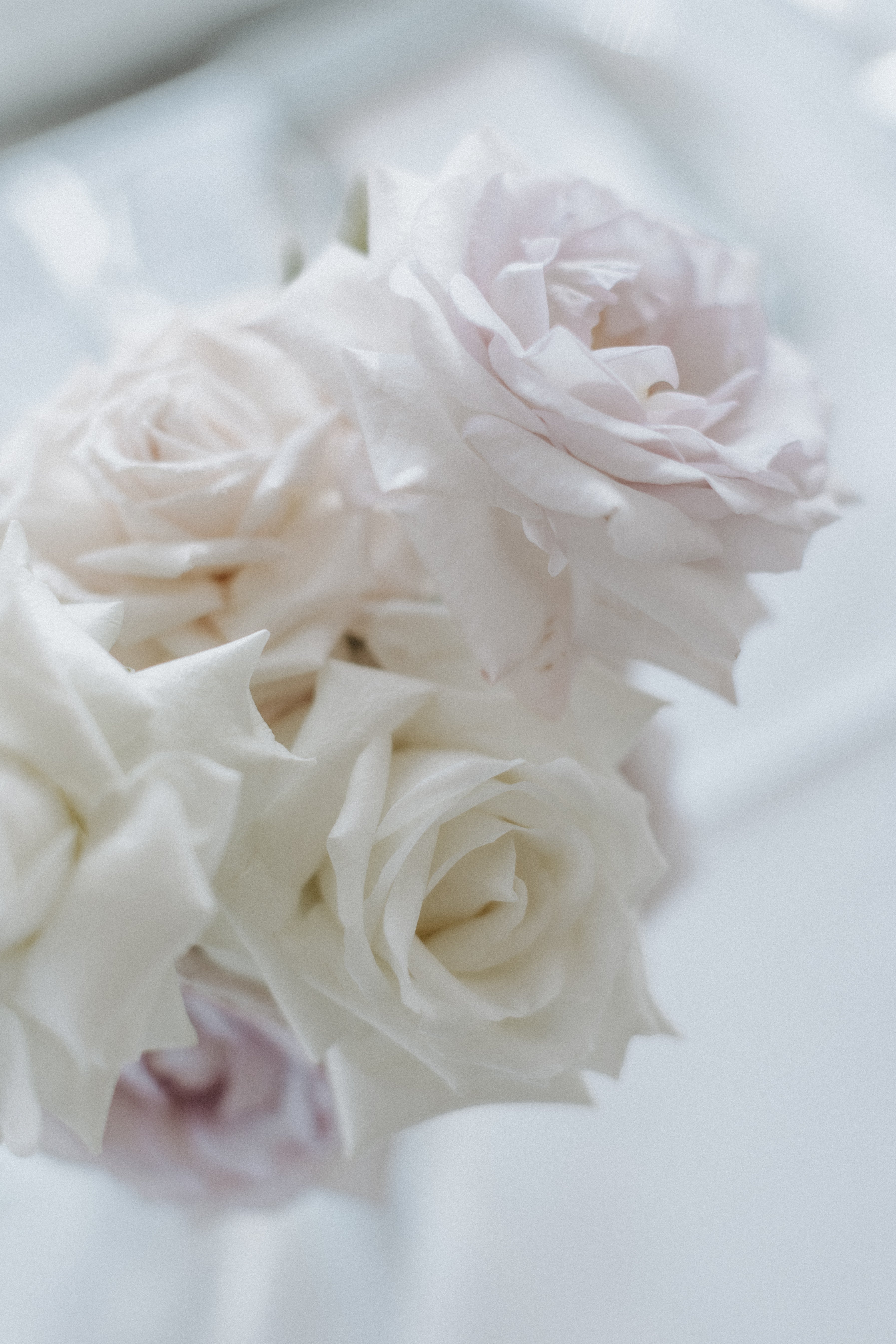 Deko-Paket "ROMANTIC MOOD" für Selbstabholer_innen