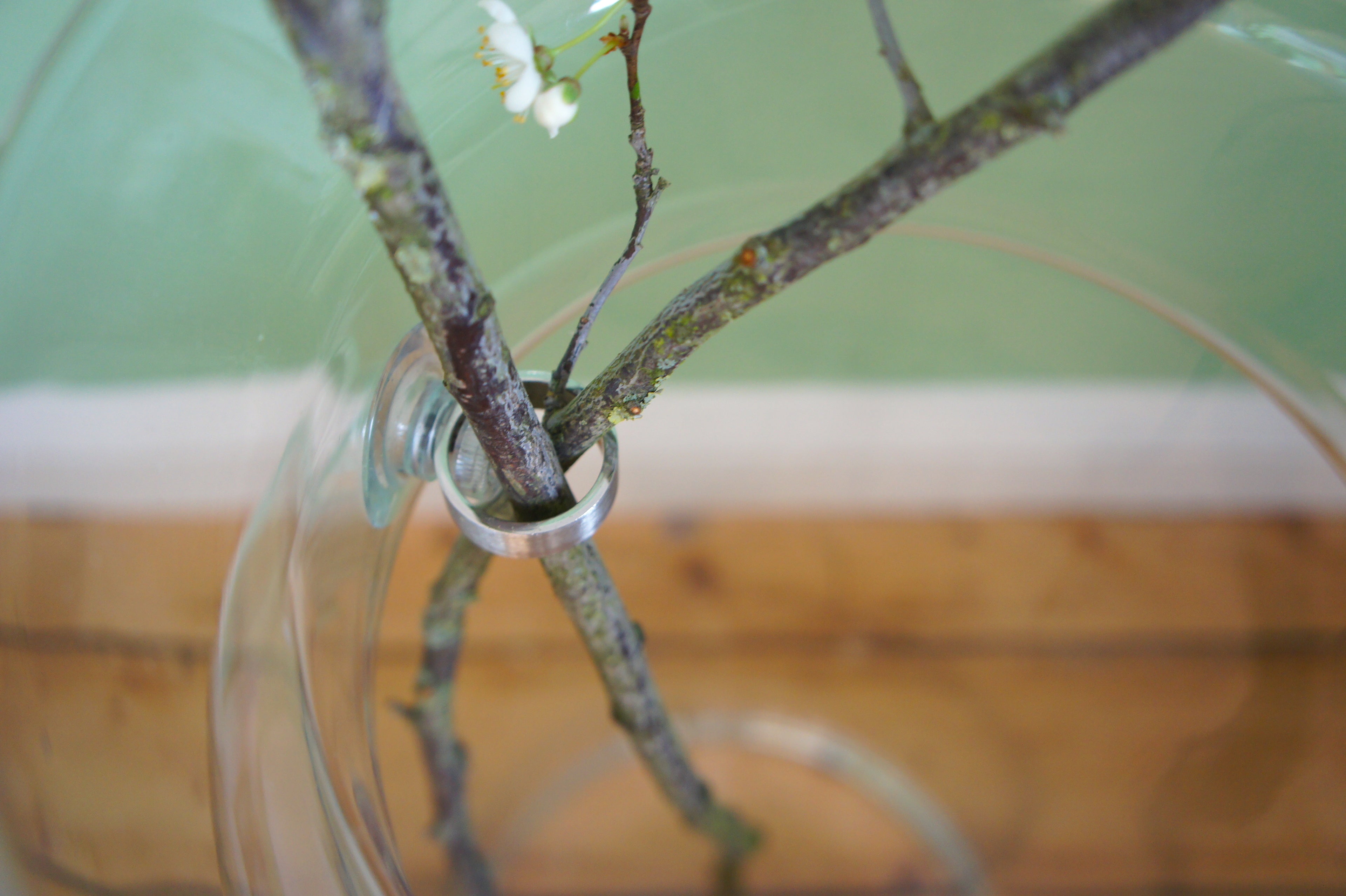 FLOWER RING, Blumenringhalter für Einzelstiele