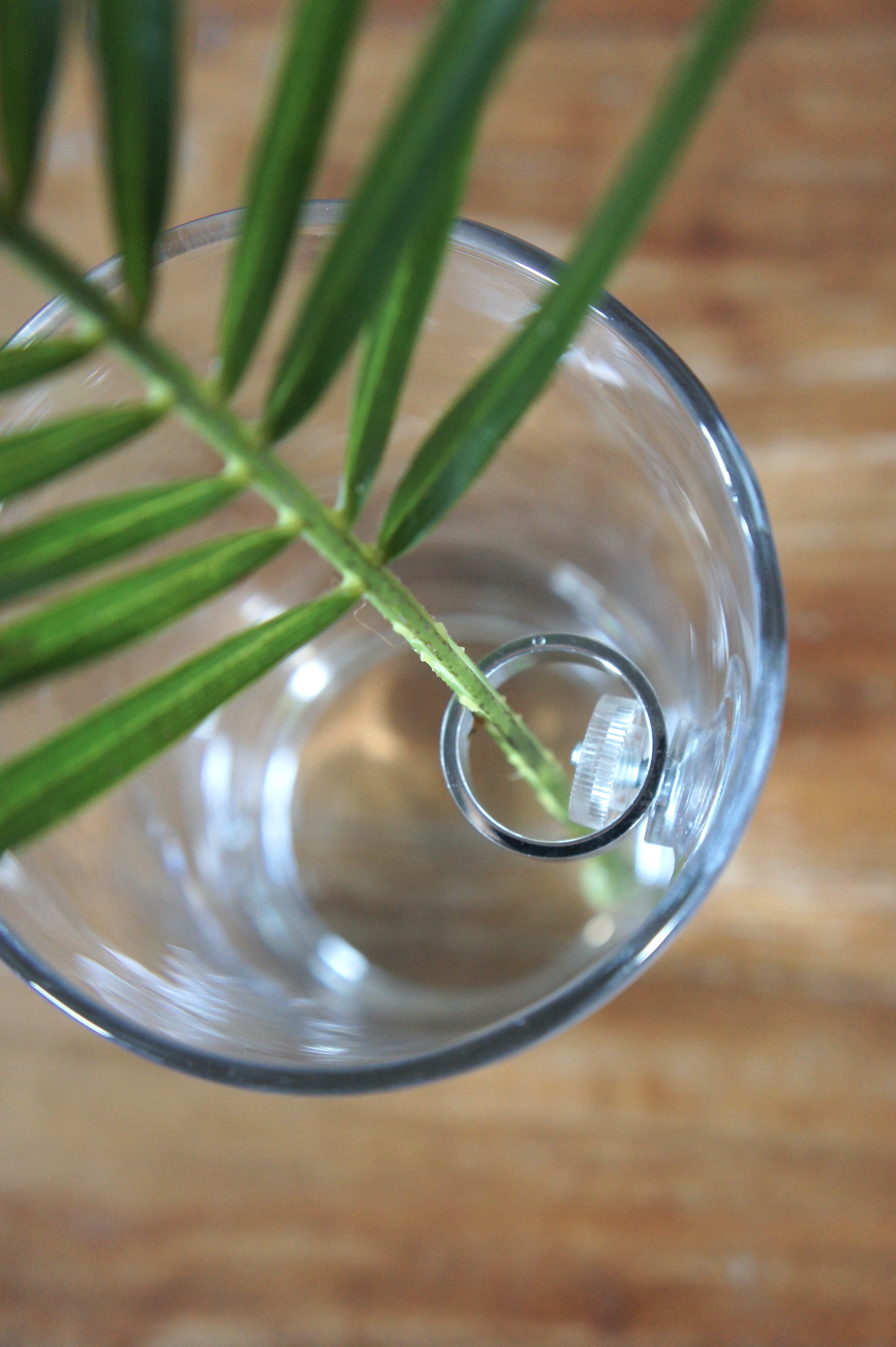FLOWER RING, Blumenringhalter für Einzelstiele