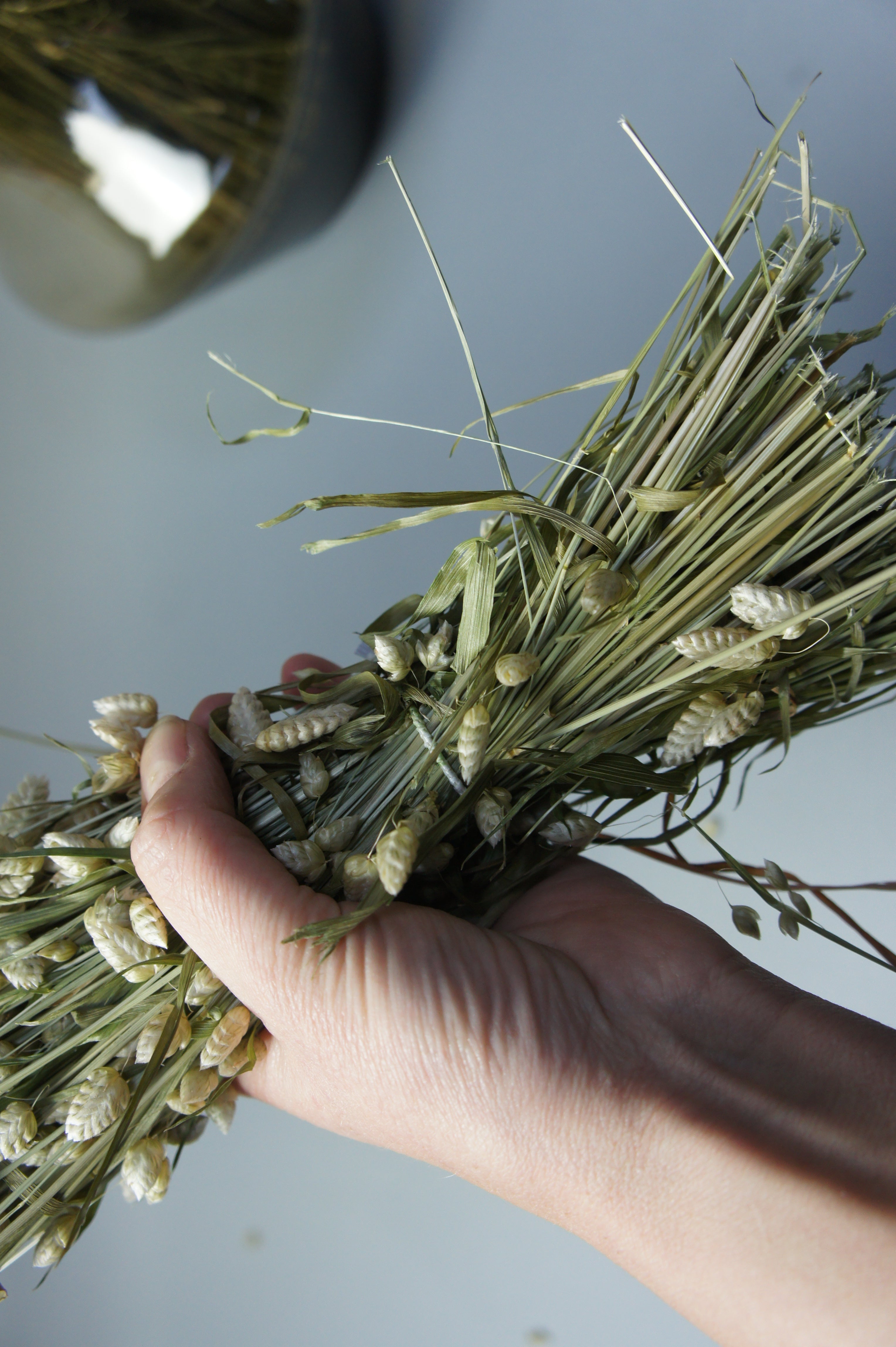 Briza Maxima, dekoratives Trockengras als Bundware