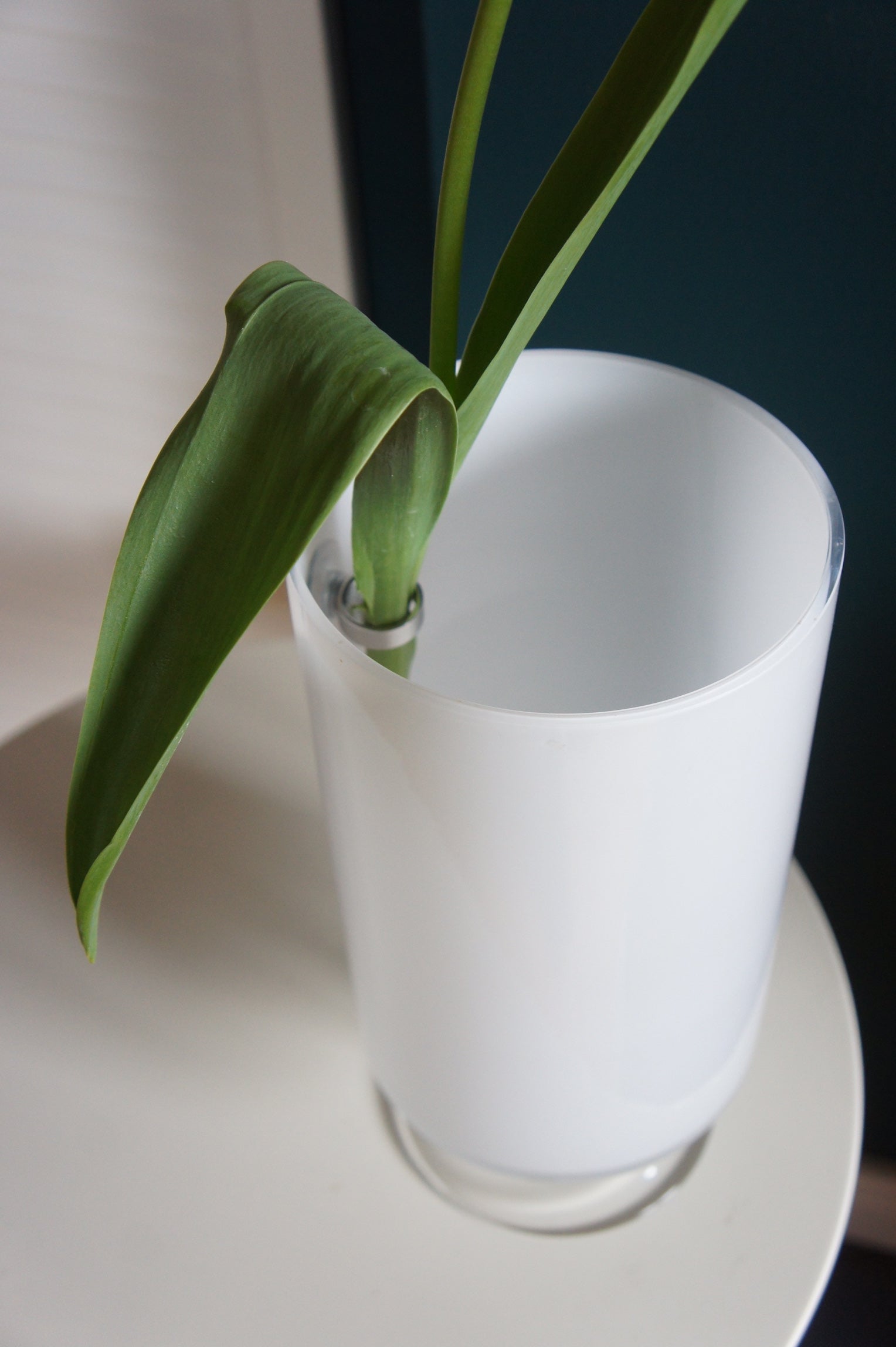 FLOWER RING, Blumenringhalter für Einzelstiele