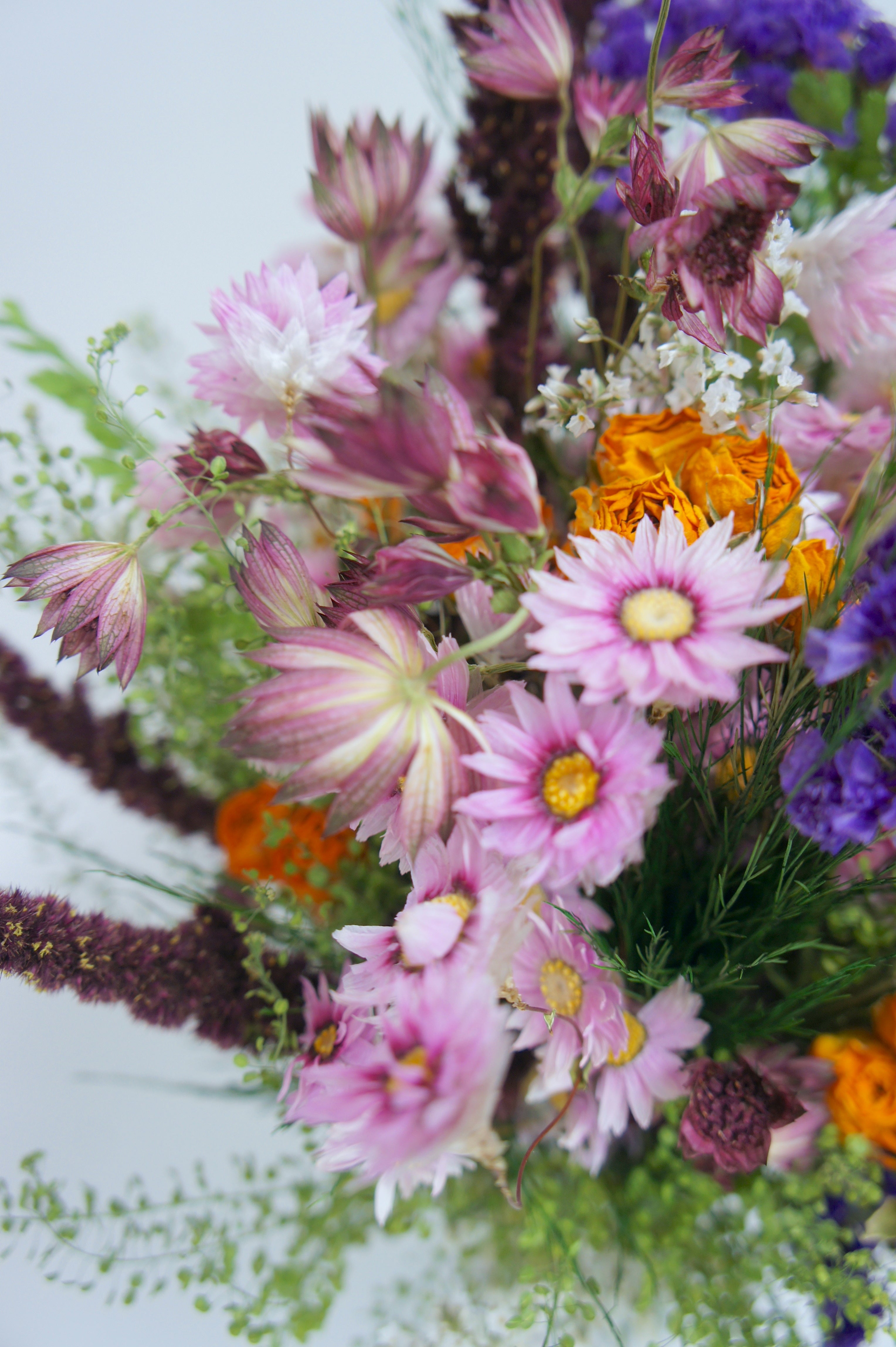 MARIE & DER SOMMER- unsere neue Trockenblumenserie mit Brautstrauß, Haarkranz und Reversschmuck