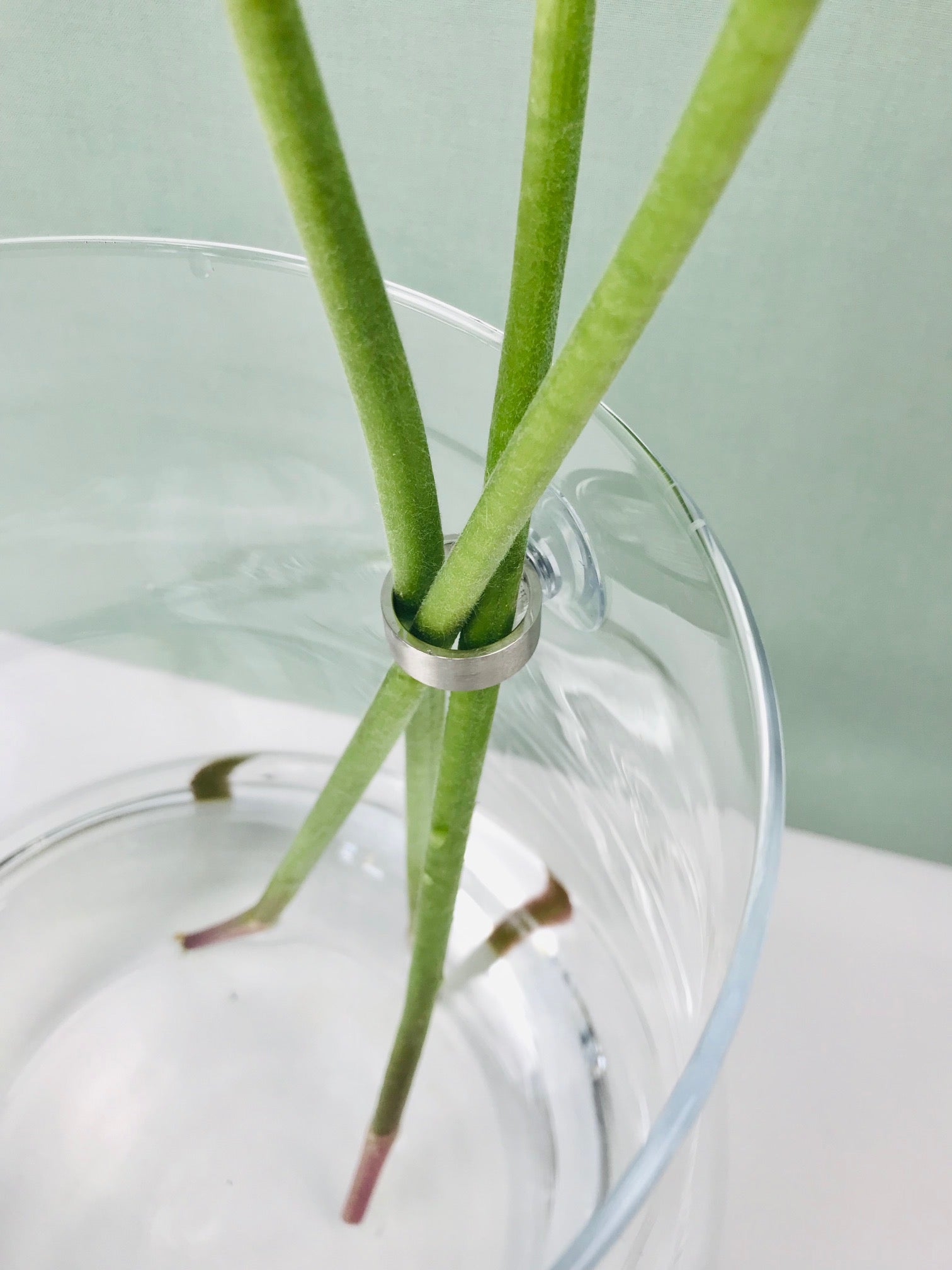 FLOWER RING, Blumenringhalter für Einzelstiele