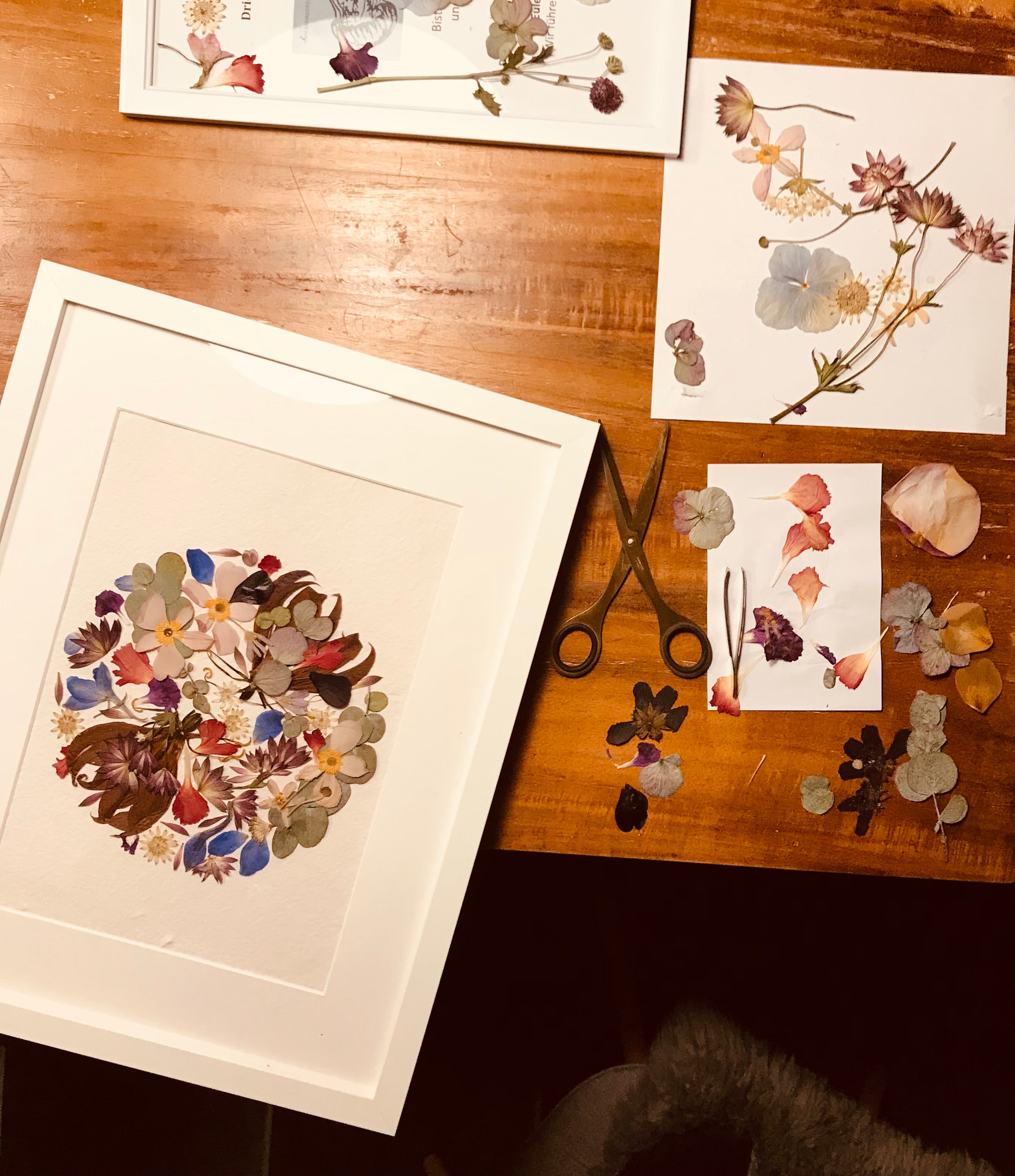 Workshop PRESSED FLOWER COLLAGE am Samstag, den 13.01.2024 von 13-16 uhr
