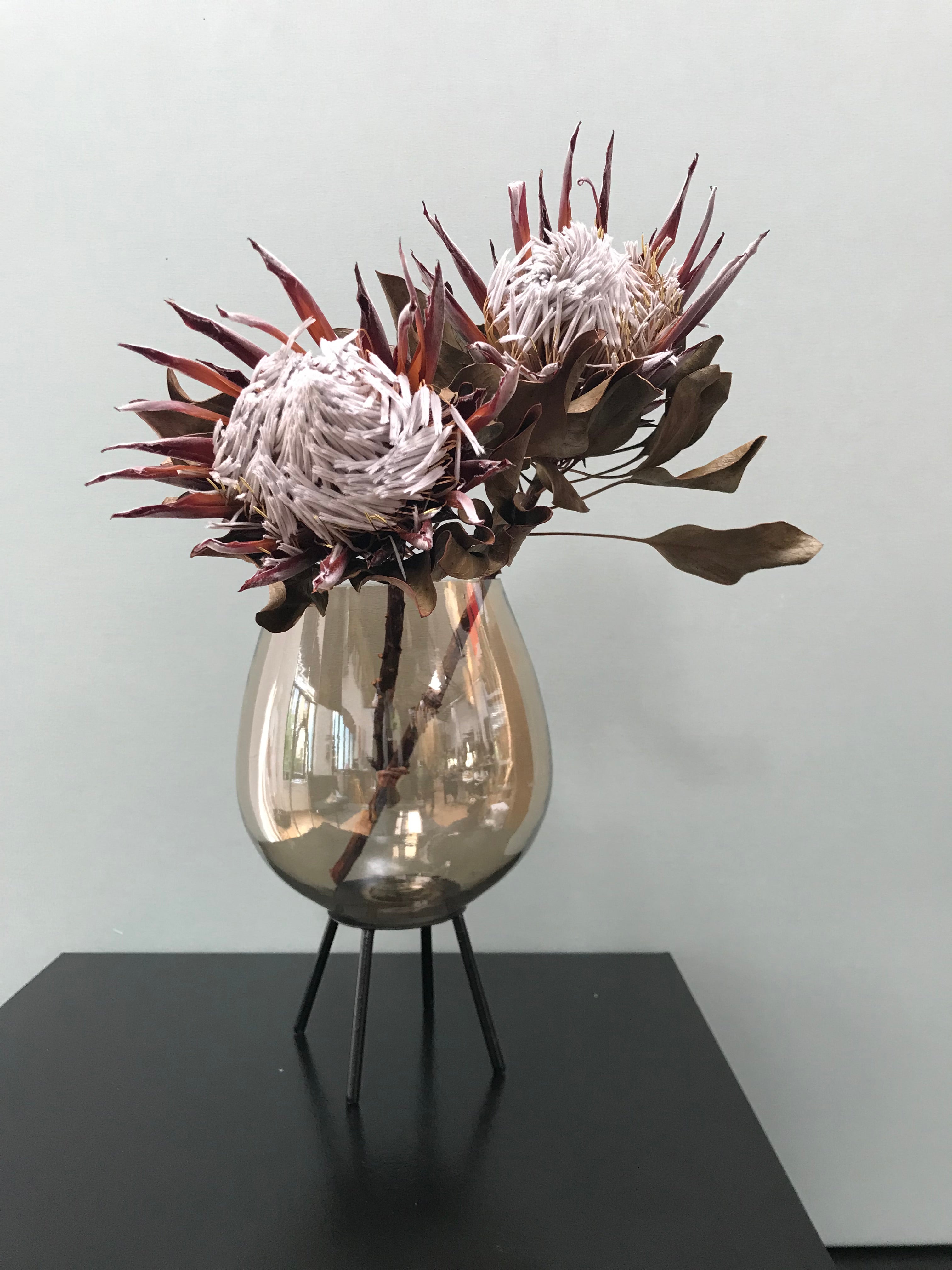 Vase/Windlicht aus getöntem Glas auf Dreifuß, mit oder ohne Protea erhältlich