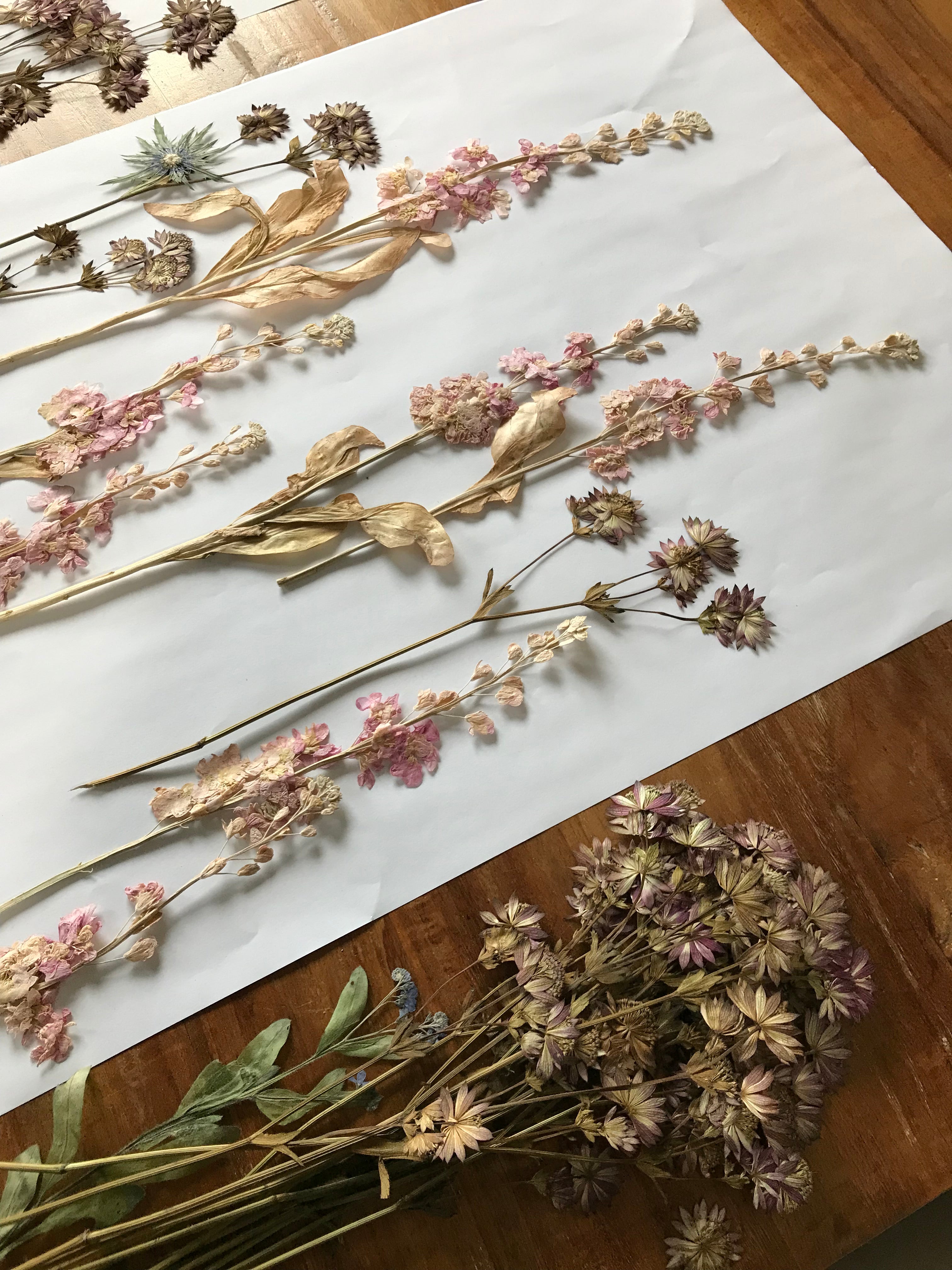 Buche Dir jetzt mit Anzahlung das Zeitfenster für DEINE Brautstraußkonservierung in 2025/2026