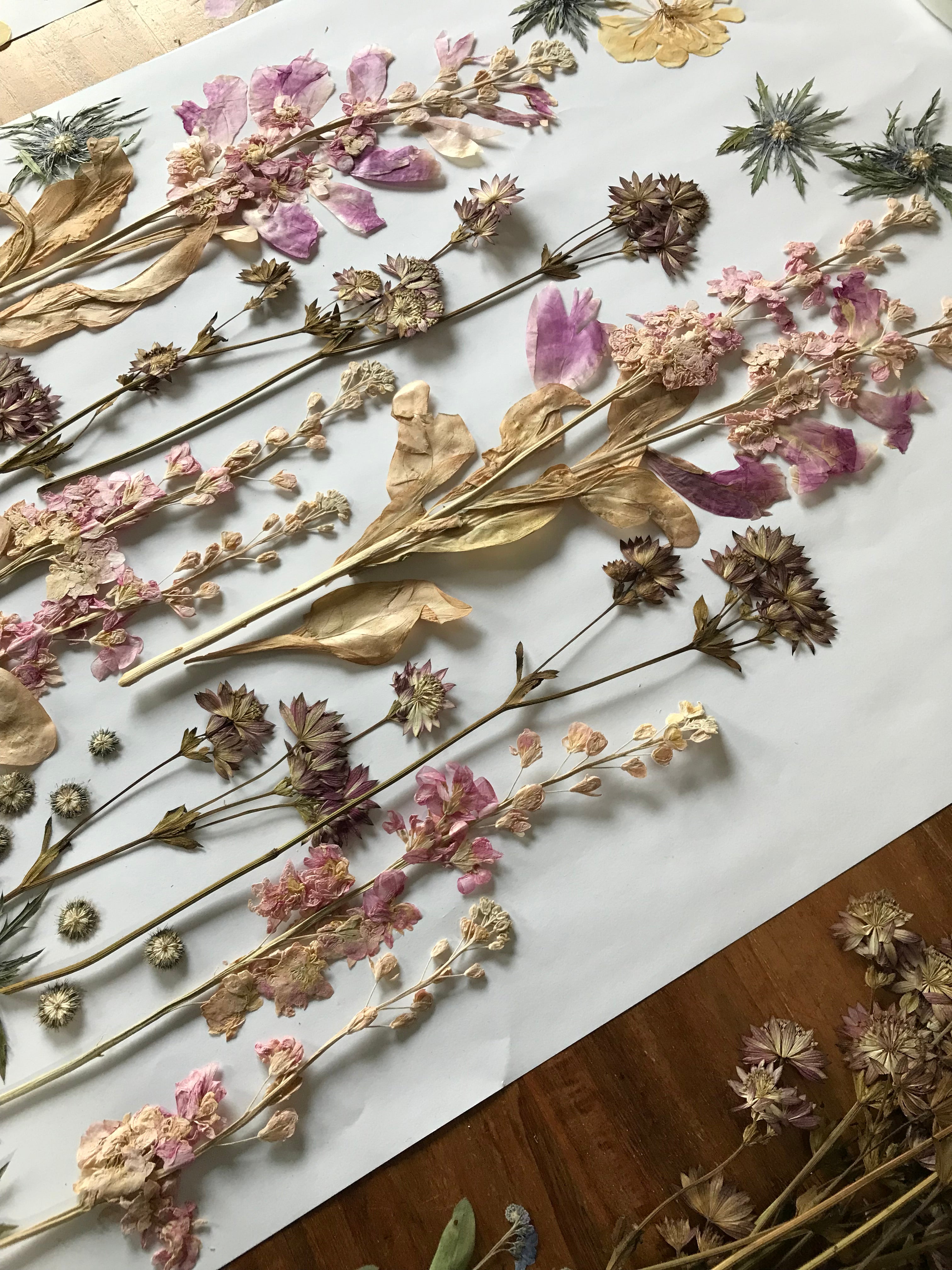 Buche Dir jetzt mit Anzahlung das Zeitfenster für DEINE Brautstraußkonservierung in 2026