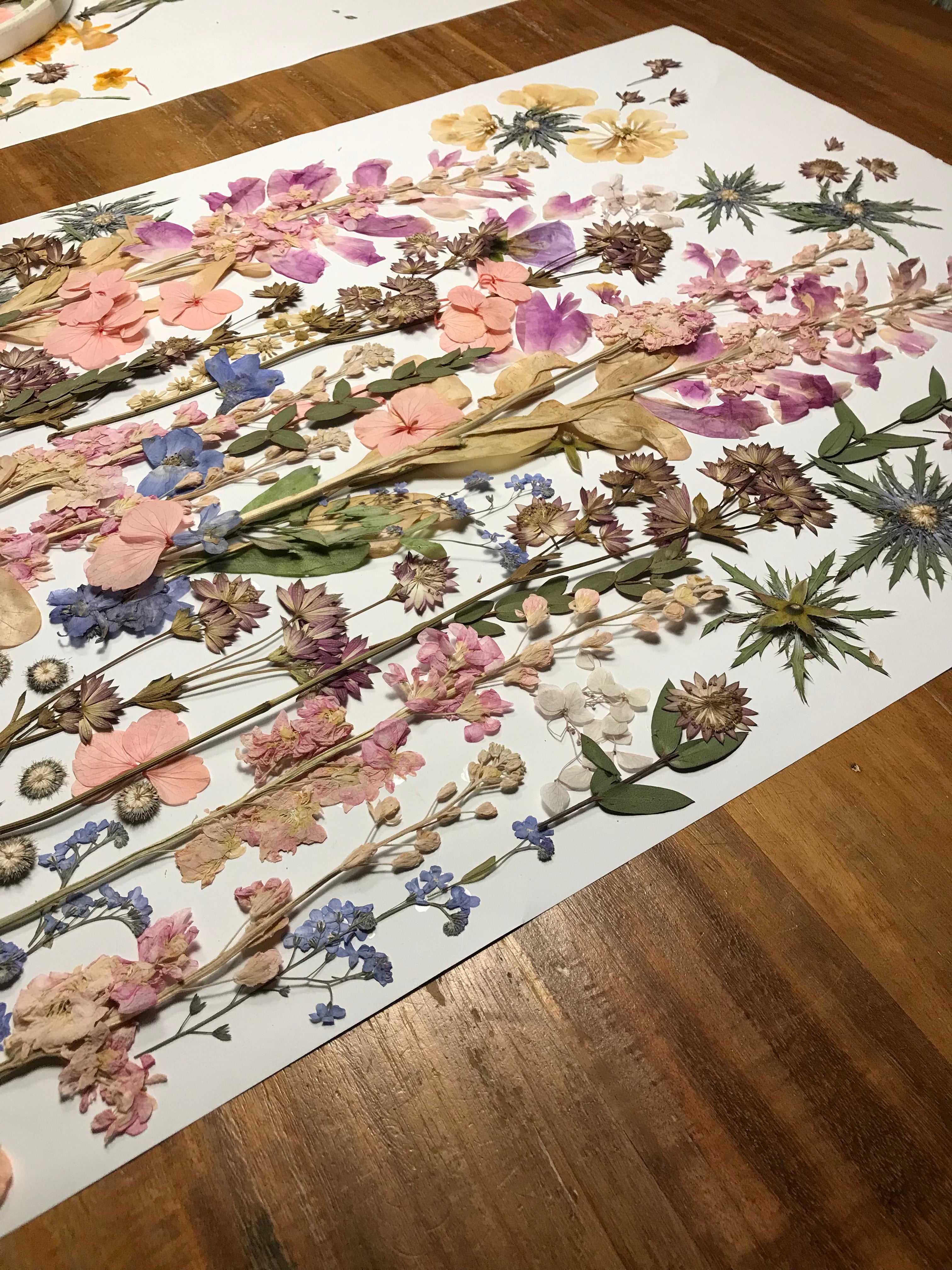 Buche Dir jetzt mit Anzahlung das Zeitfenster für DEINE Brautstraußkonservierung in 2026