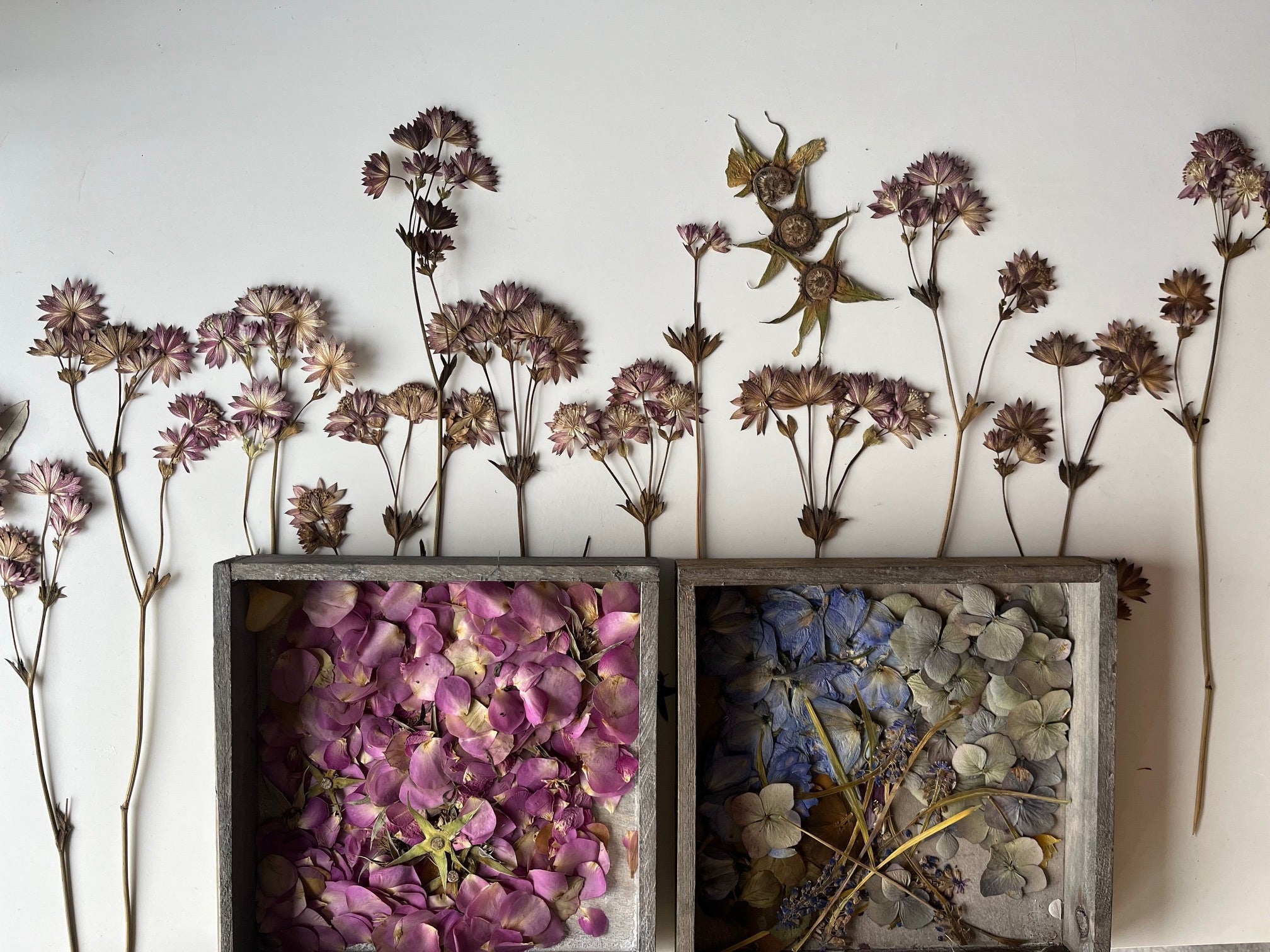 Buche Dir jetzt mit Anzahlung das Zeitfenster für DEINE Brautstraußkonservierung in 2027