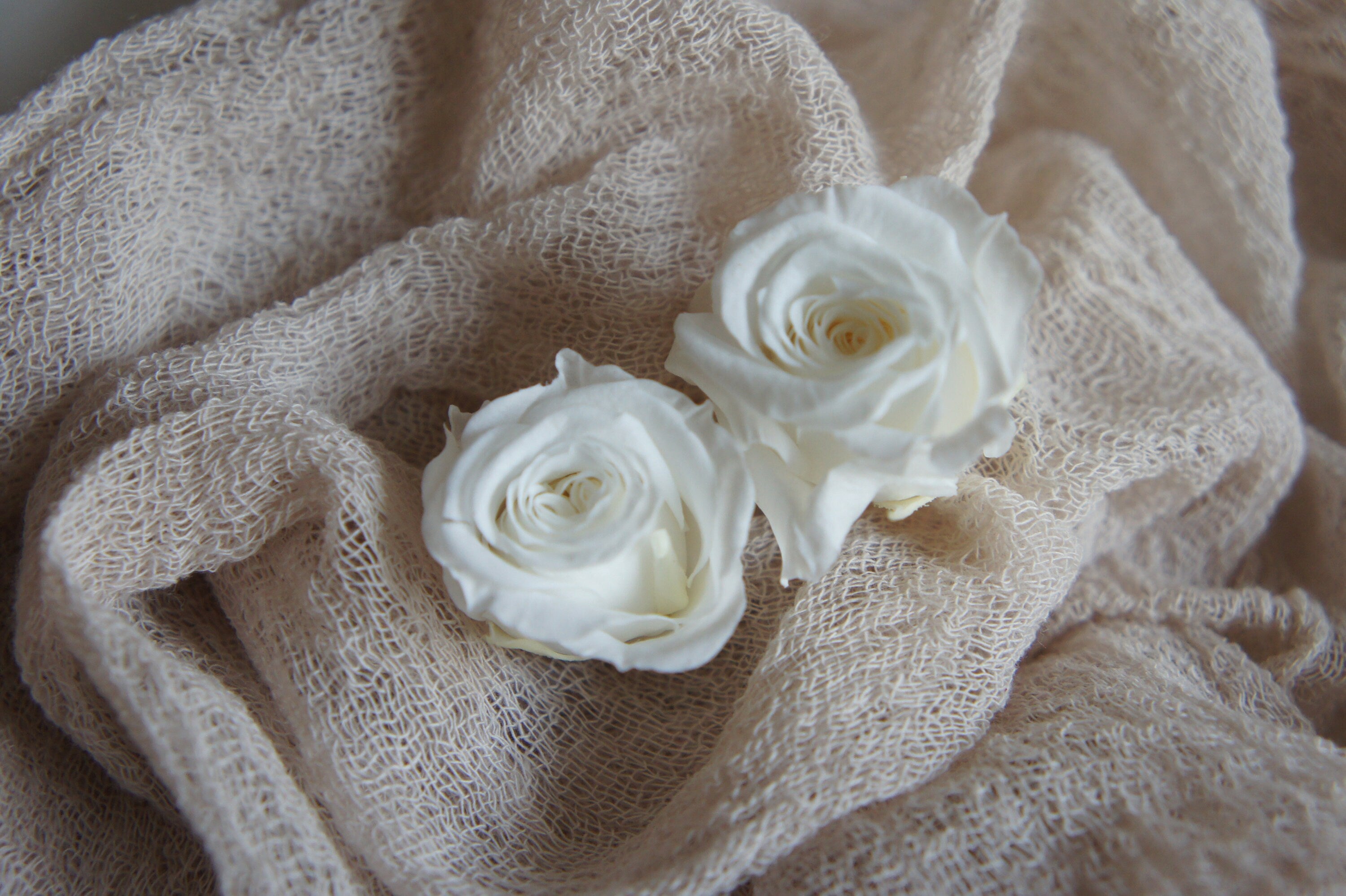 Stabilisierte Minirosen, Haltbare Blumen, Preserving Roses, Inifinty Roses in 3 Farben, in 3 colours