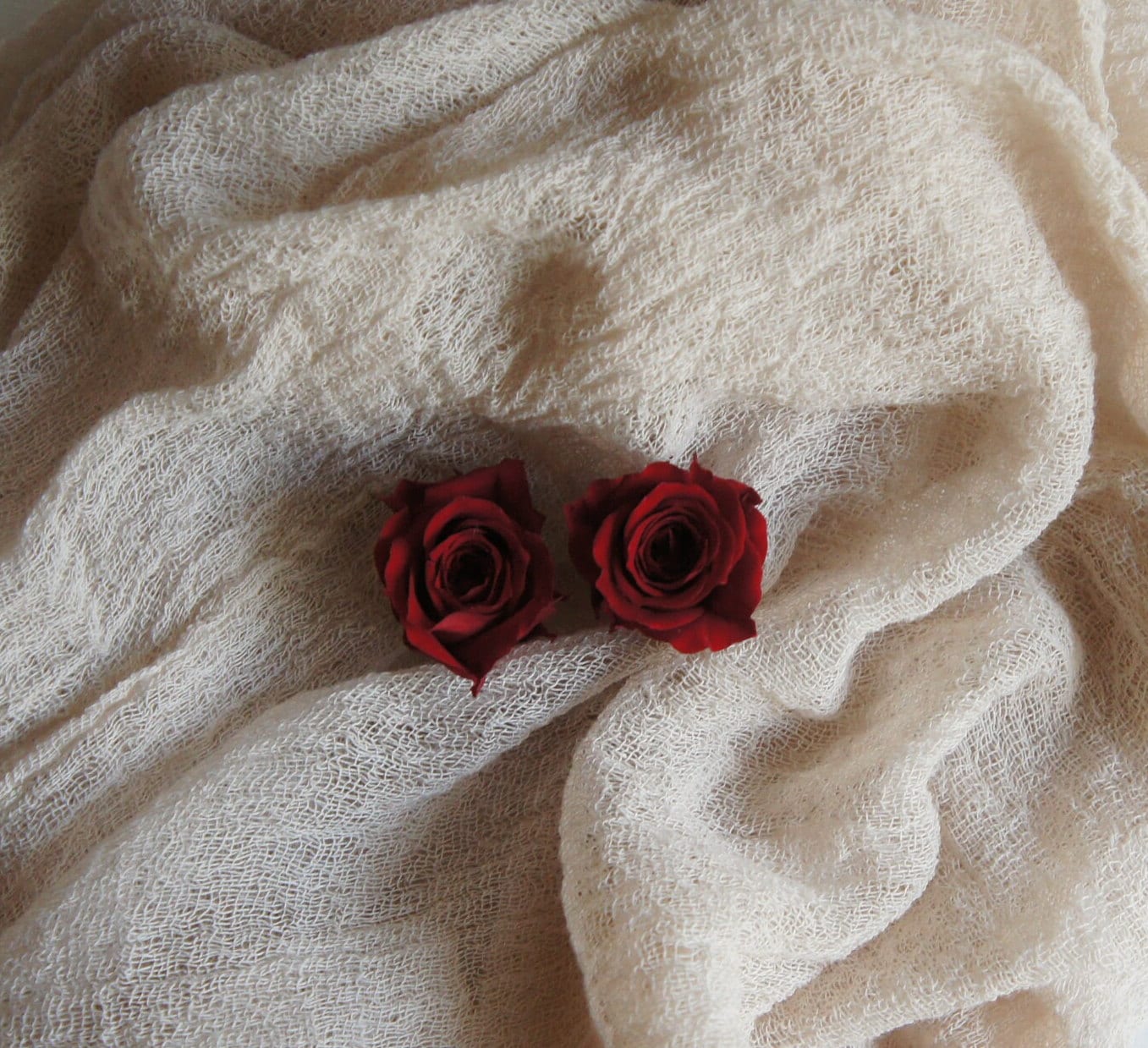 Stabilisierte Minirosen, Haltbare Blumen, Preserving Roses, Inifinty Roses in 3 Farben, in 3 colours