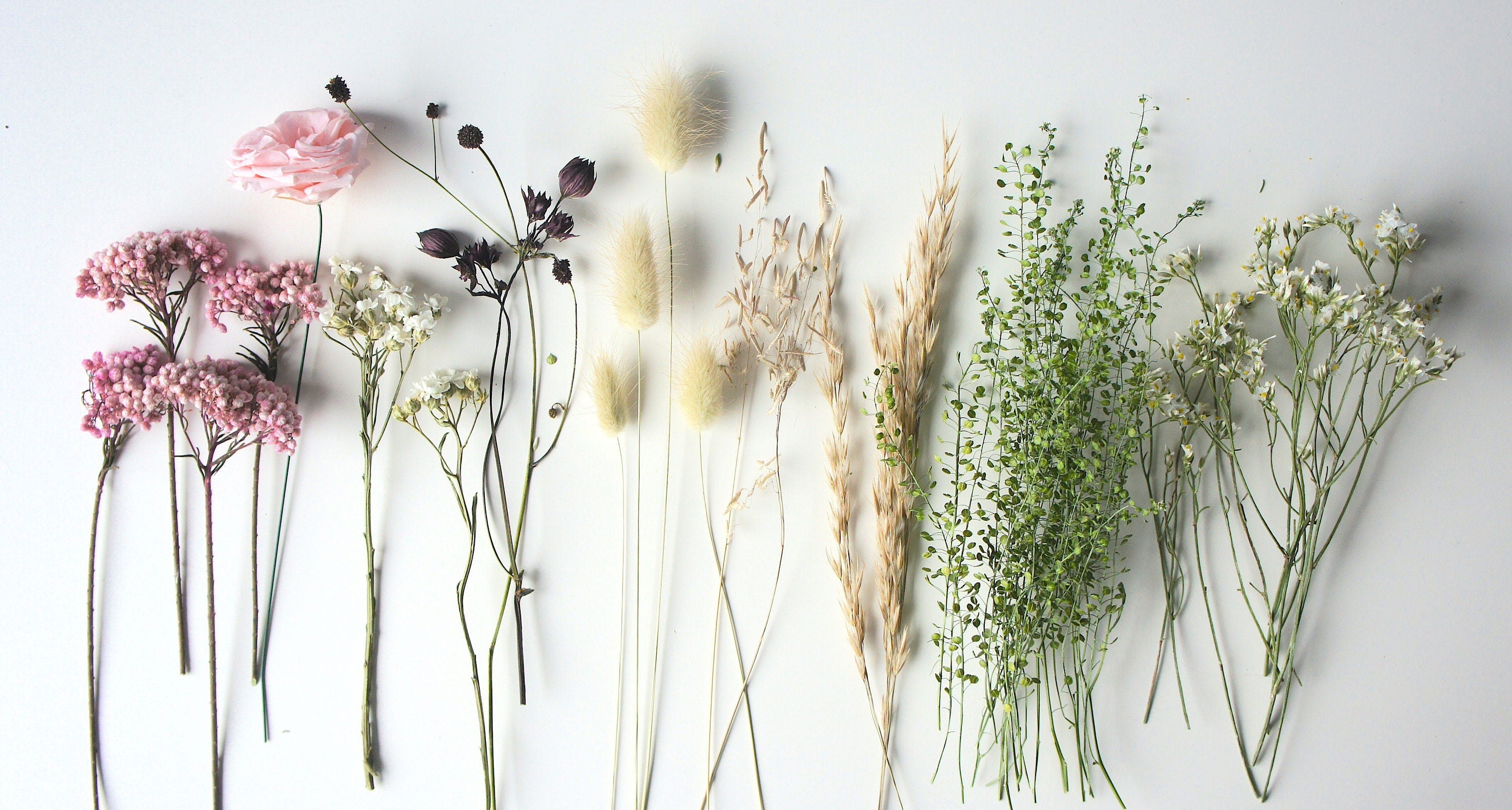 Serie TINY ROSE, Trockenblumen, Dried flowers, Einzelstiele, stabilisierte Heckenrose, Preserving Rose, DIY-Set