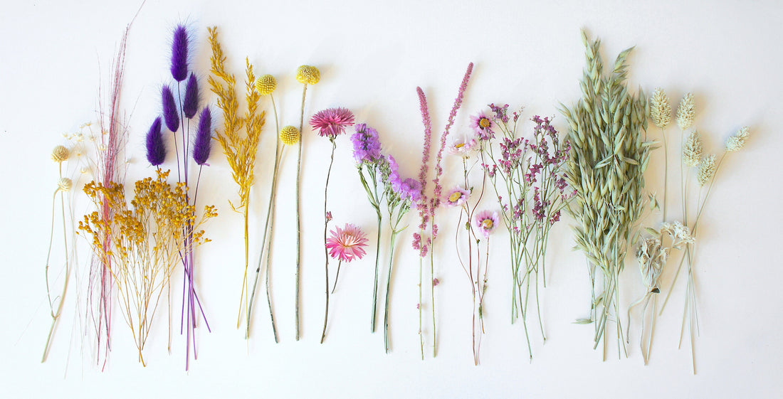 Serie SOMMERLIEBE & HONIGMUND, Trockenblumen, Einzelstiele, ungebunden, DIY-Set