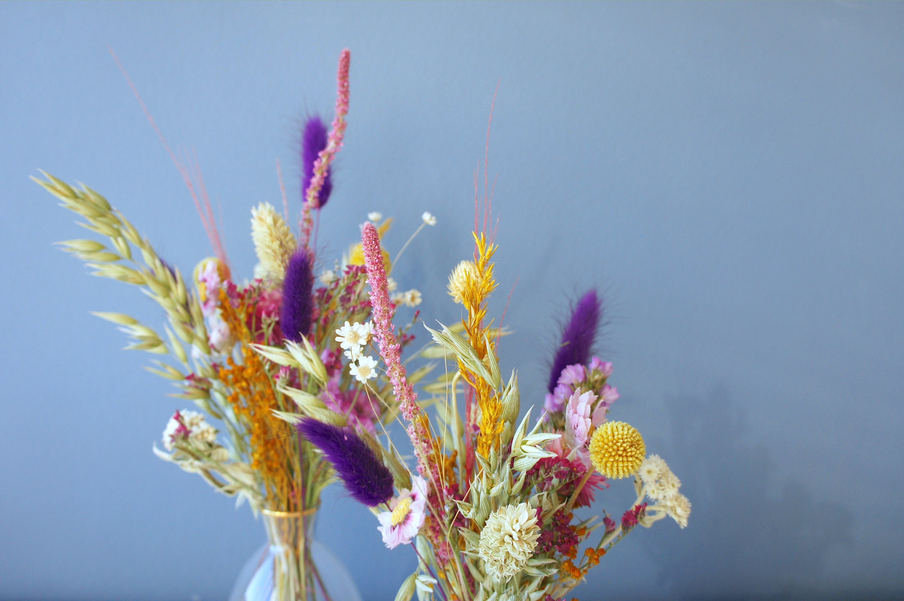 Serie SOMMERLIEBE & HONIGMUND, Trockenblumen, Einzelstiele, ungebunden, DIY-Set