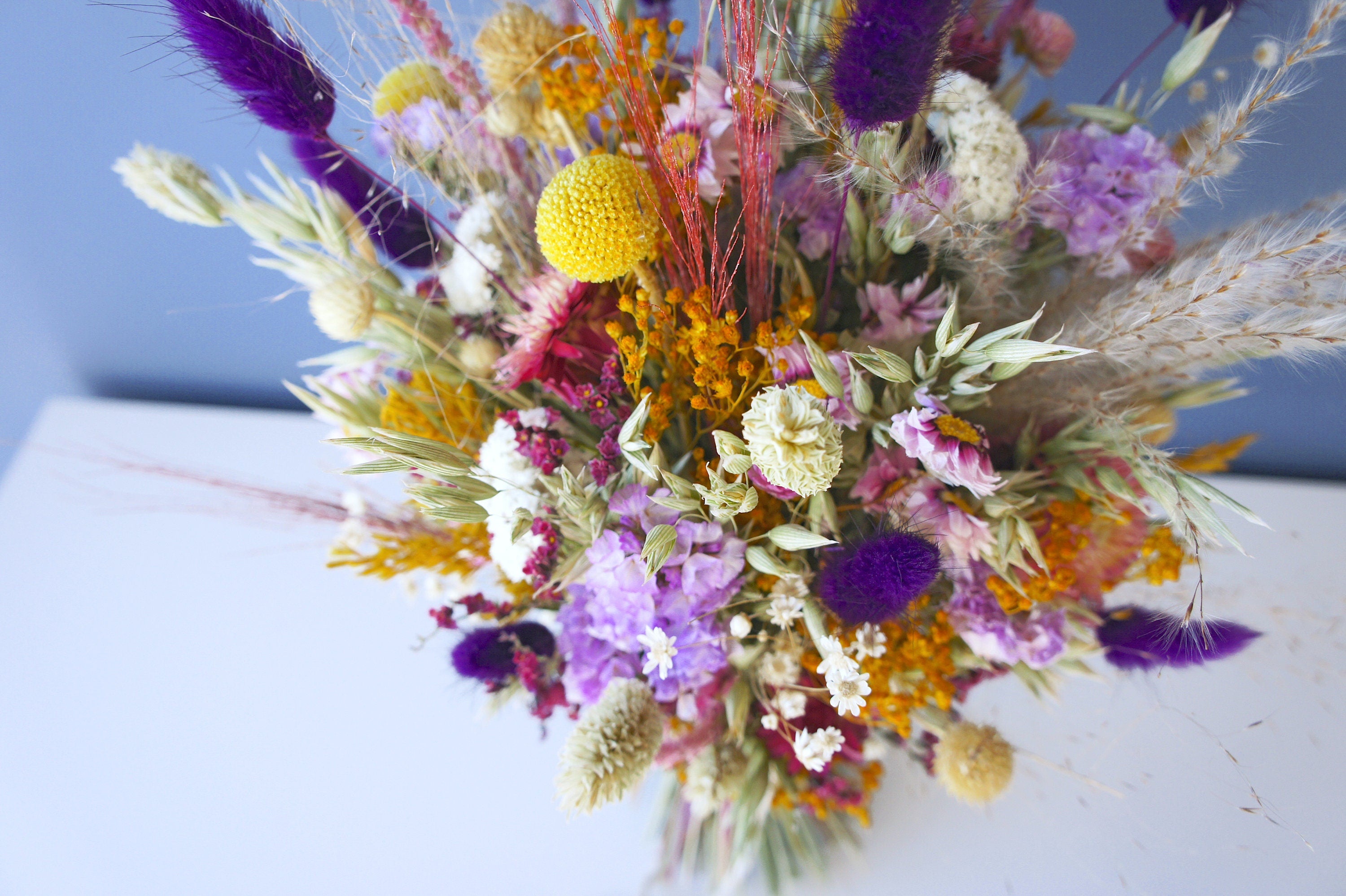 Serie SOMMERLIEBE & HONIGMUND, Trockenblumen, Dried flowers