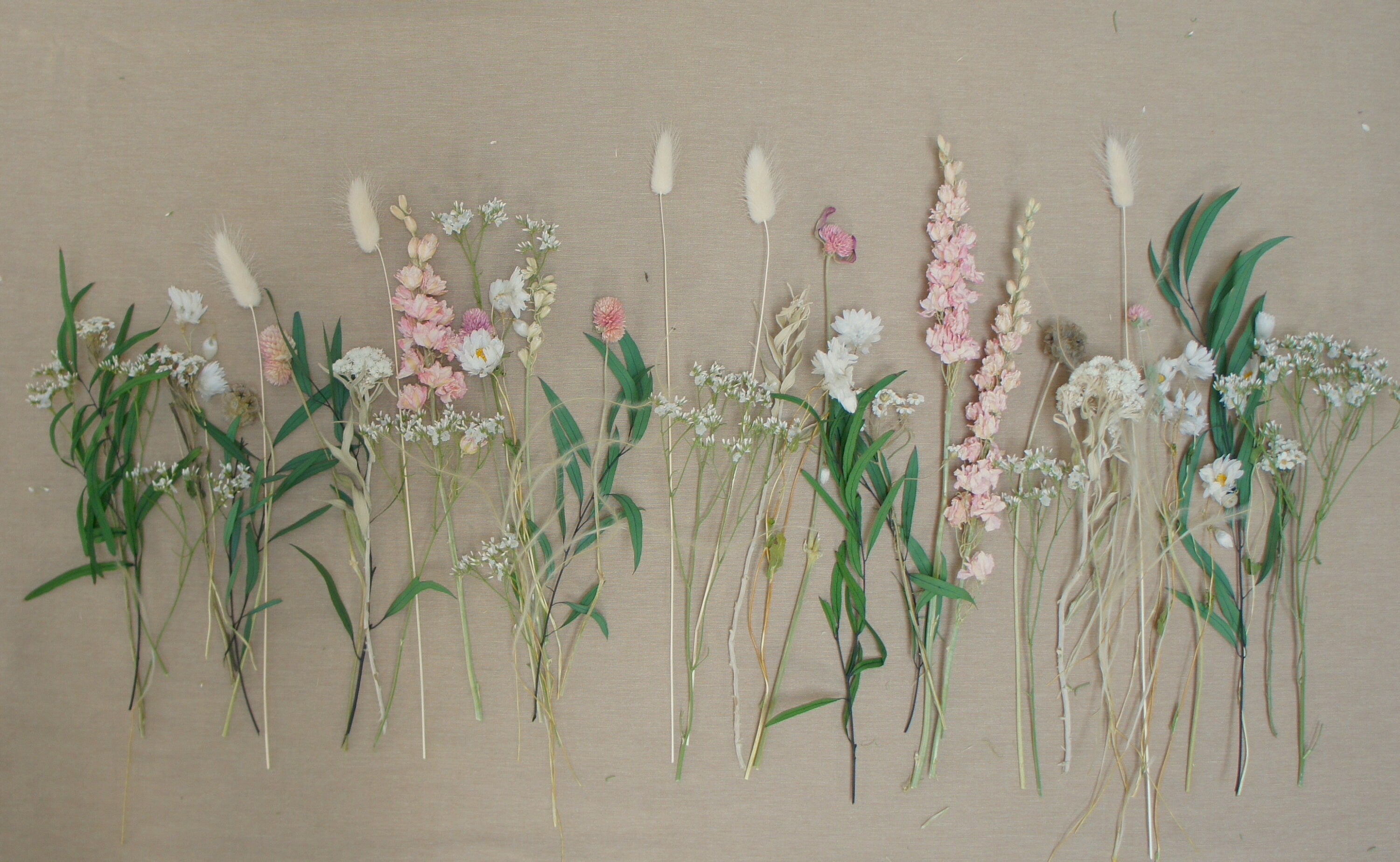 Serie FREUDENTAG, Trockenblumen / Dried flowers, Stabilisierte Rosen / Infinity roses, Hochzeit / Wedding