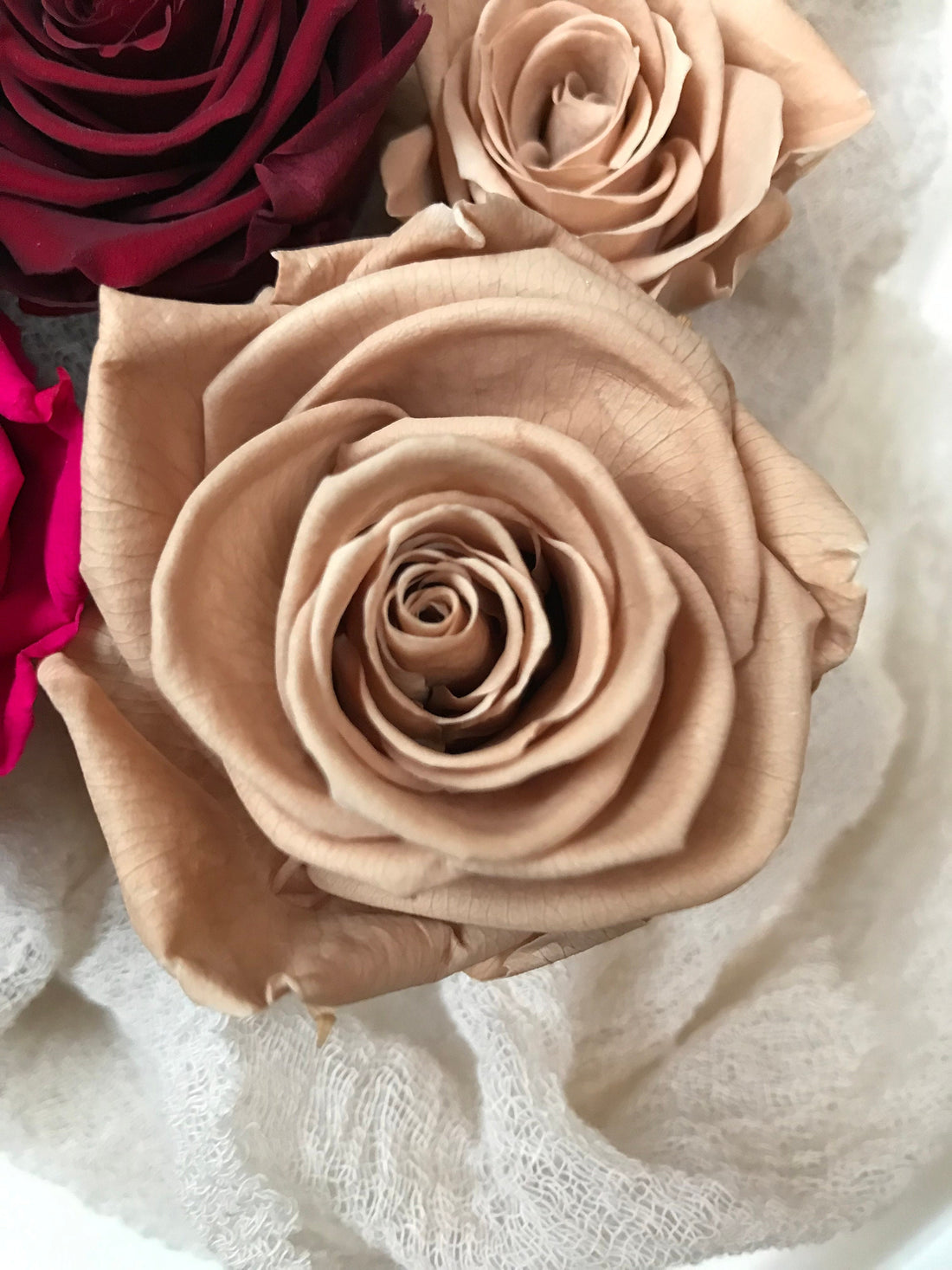 Stabilisierte Rosen | Preserving roses | Infinity Roses | haltbare Rosen