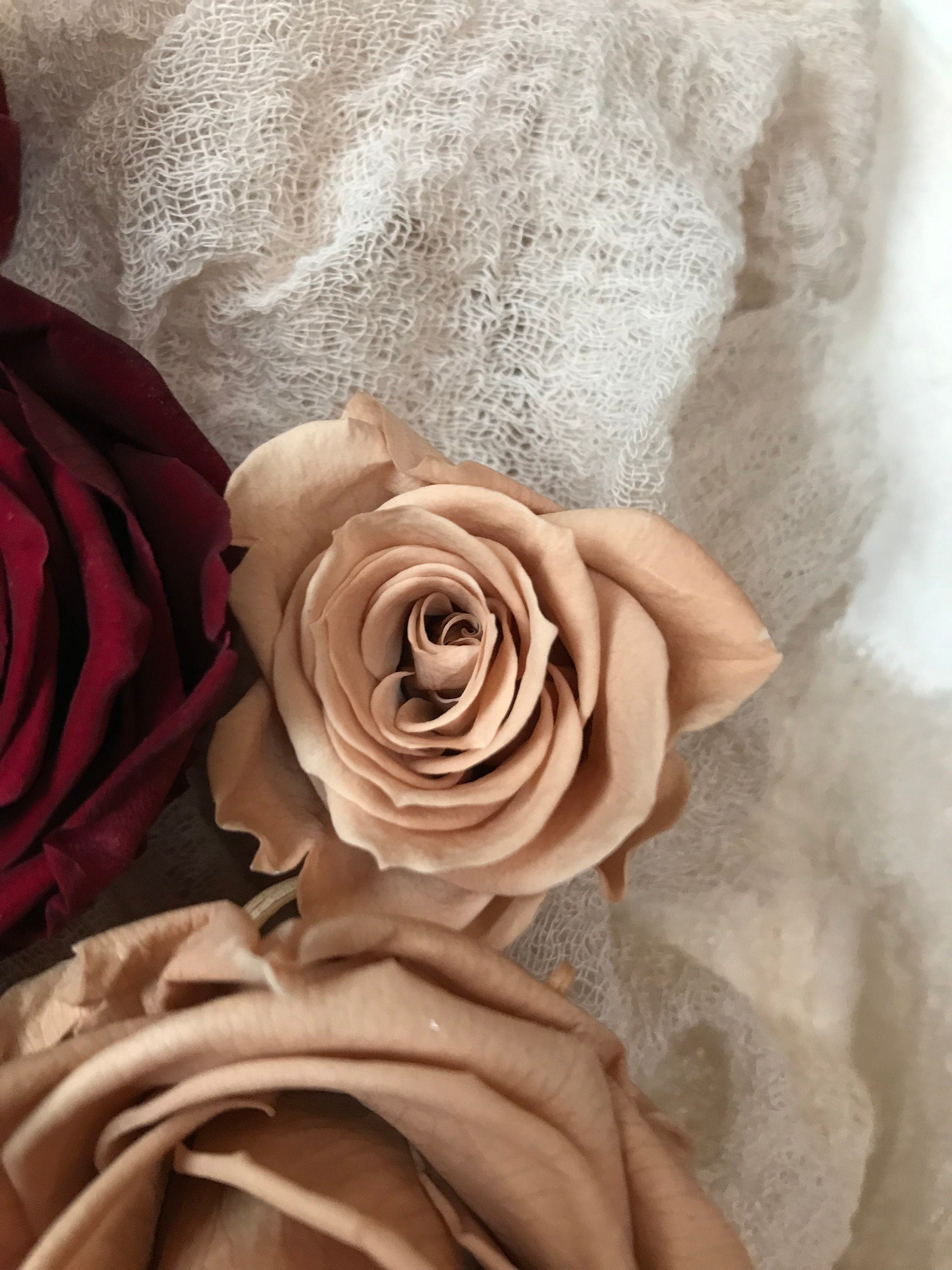 Stabilisierte Rosen | Preserving roses | Infinity Roses | haltbare Rosen