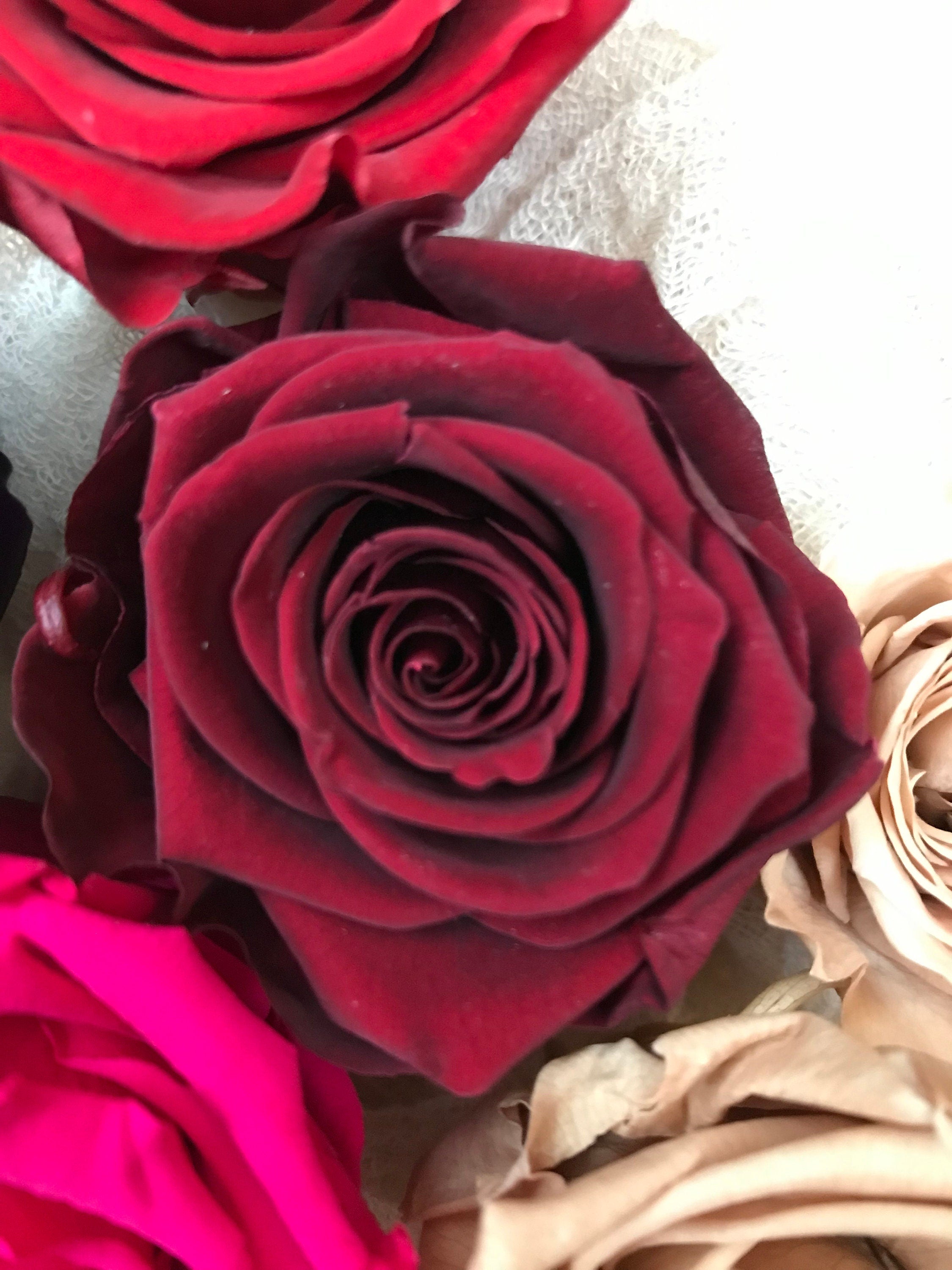 Stabilisierte Rosen | Preserving roses | Infinity Roses | haltbare Rosen