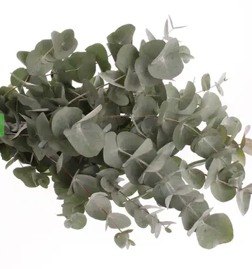 Hochzeits- und Eventfloristik / Frischblumen für Selbstabholer_innen