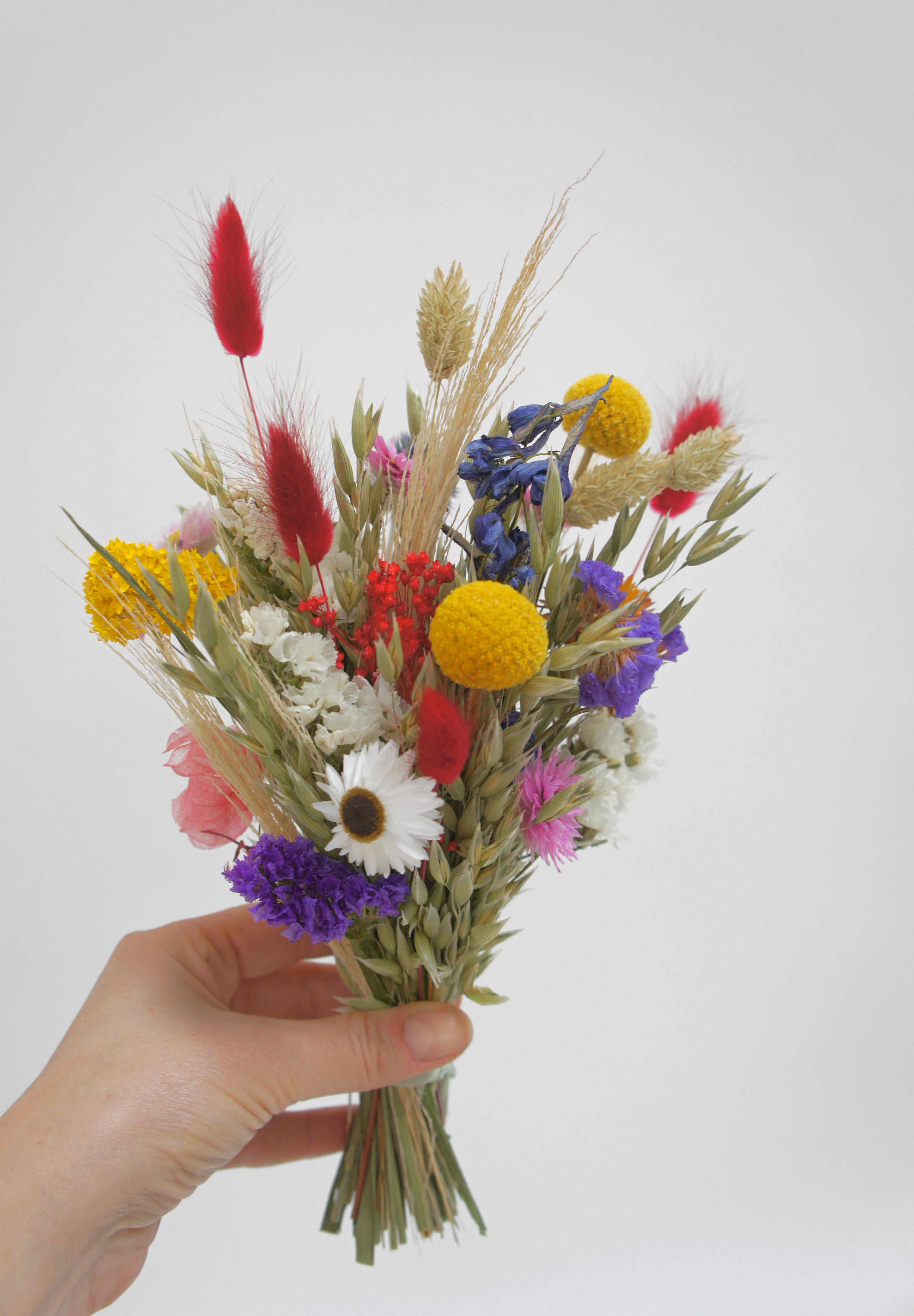 WIESENFEST, klejner Trockenblumenstrauß, Tiny Dried flower bouquet