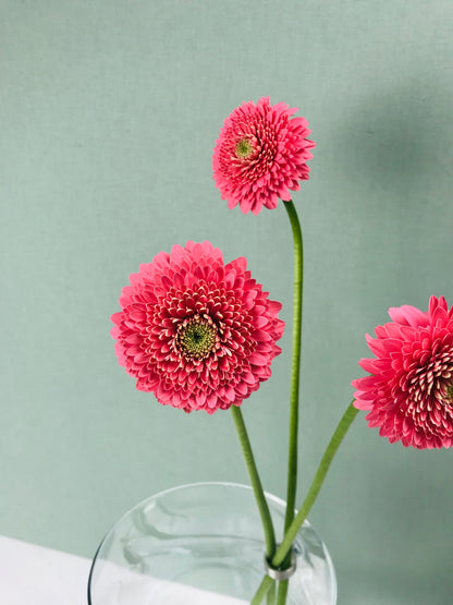 FLOWER RING, Blumenringhalter für Einzelstiele