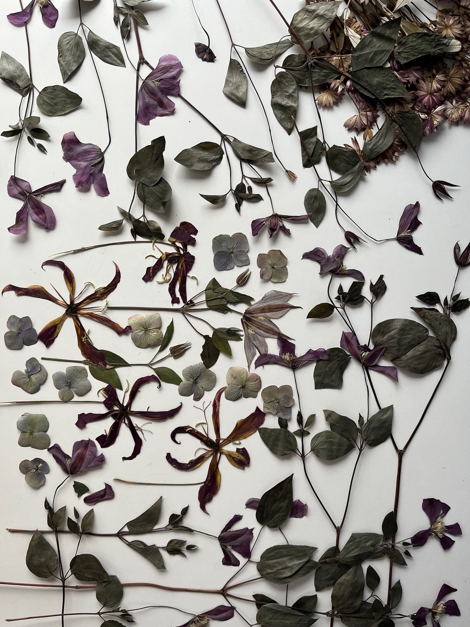 Buche Dir jetzt mit Anzahlung das Zeitfenster für DEINE Brautstraußkonservierung in 2026