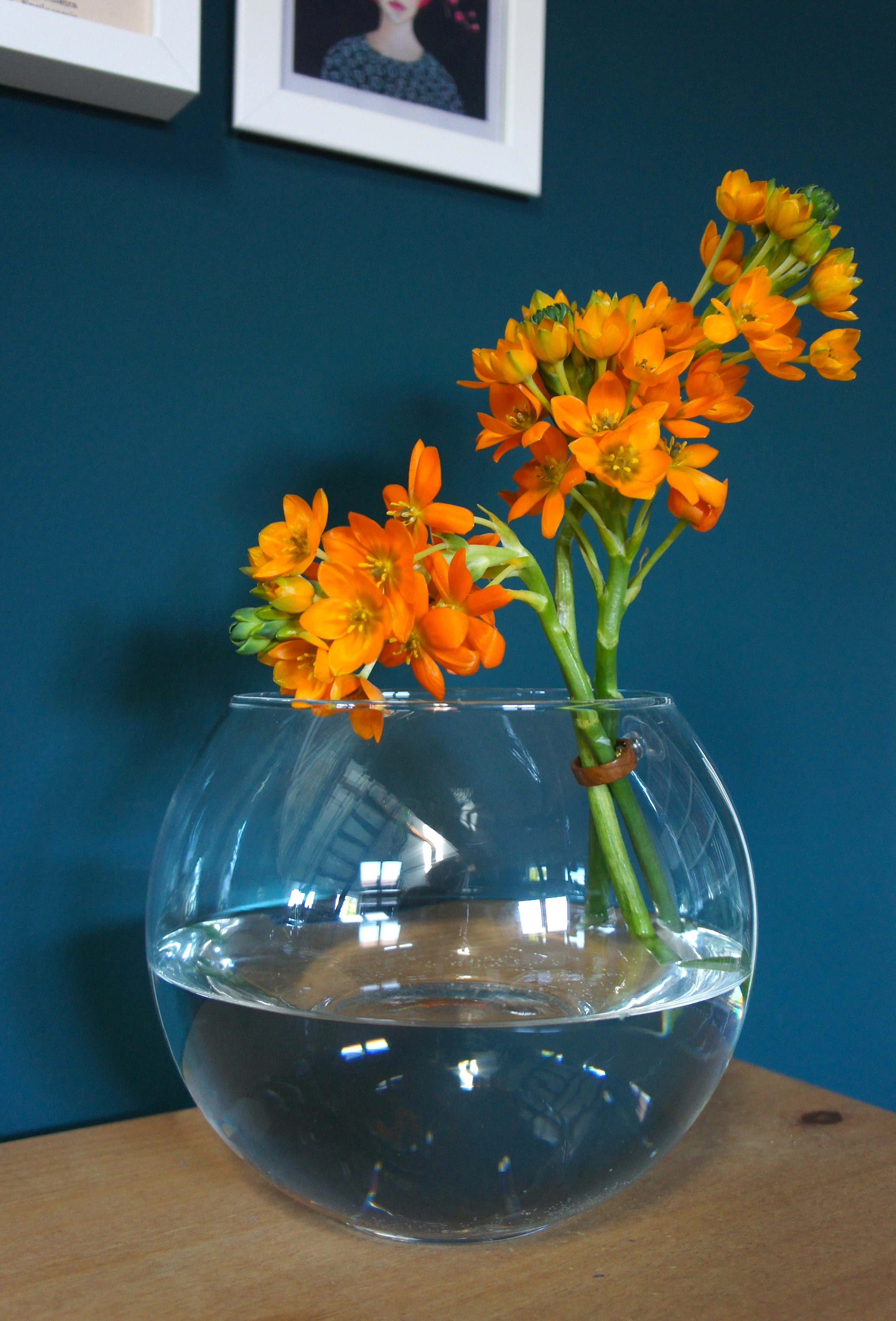 FLOWER RING, Blumenringhalter für Einzelstiele