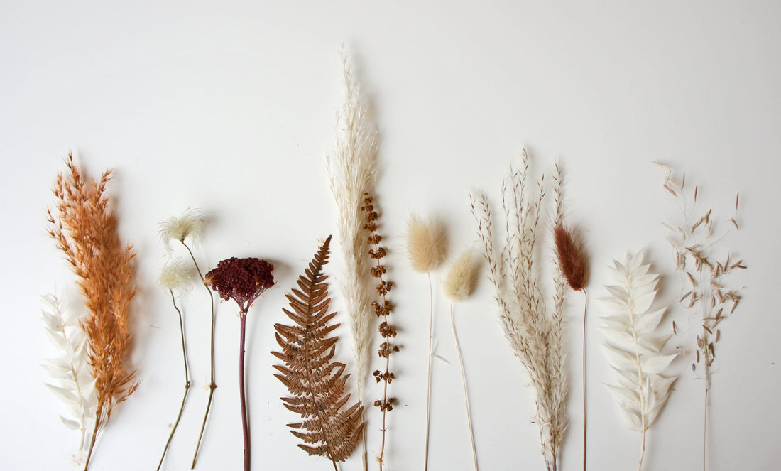 Serie ERDVERBUNDEN, Einzelstiele, Trockenblumen, ungebunden, DIY-Set, Separate Dried flowers stalks / ohne Vasen, without vases