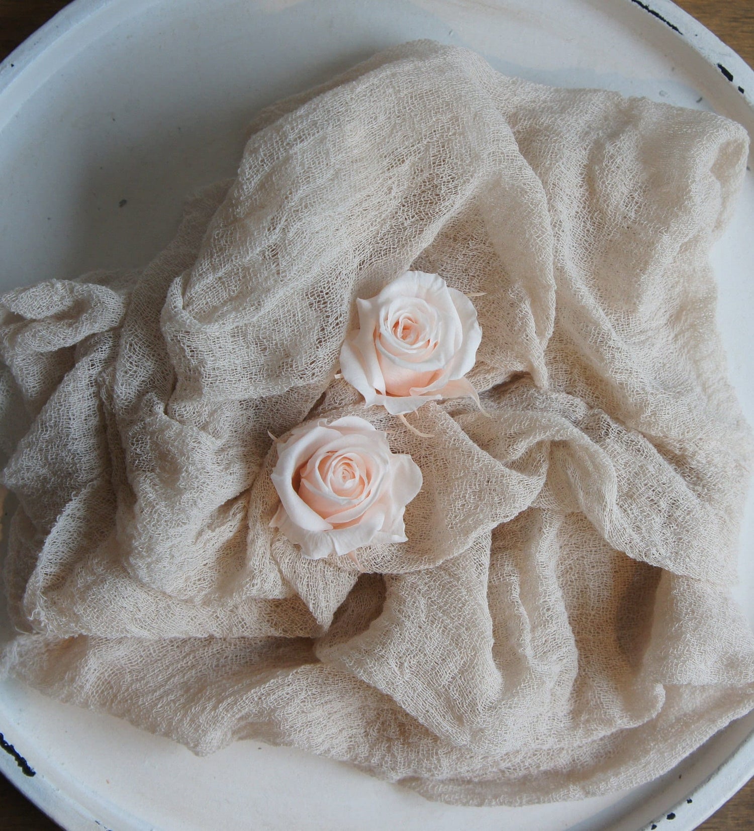 Stabilisierte Rose / Preserving Rose / Infinity Rose / Dried Flowers