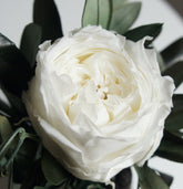 Serie GRACEFUL ROSE, Preserving roses, Preserving Olive, Bride bouquet, Flower crown, Flower pin, Haarkamm, Haarreif