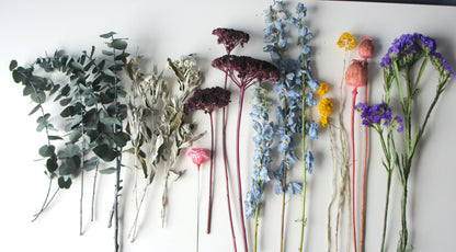 Serie &quot;KOMM, wir GEHEN HEIRATEN&quot;, Einzelstiel-Set, ungebunden, Trockenblumen / Dried flowers