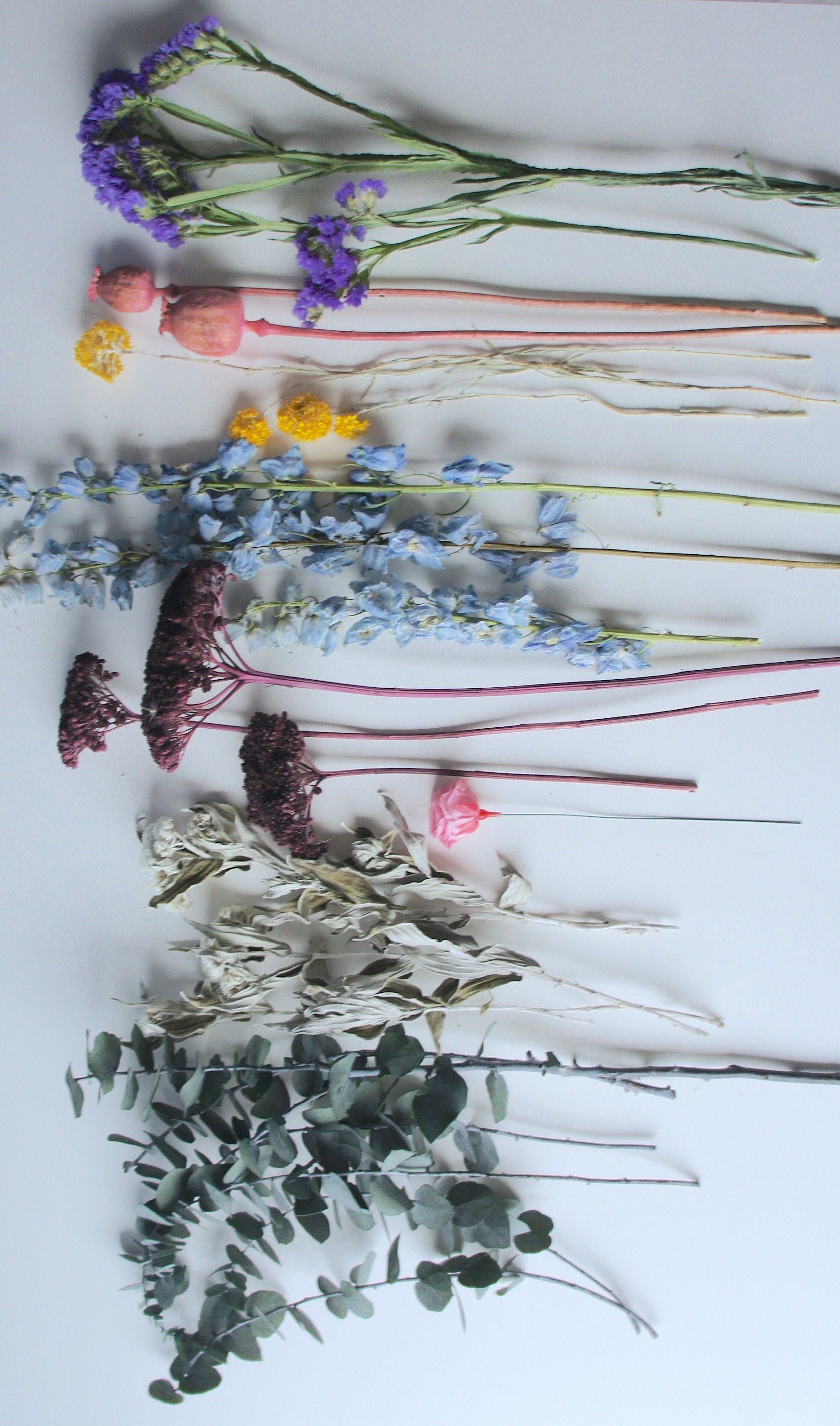 Serie &quot;KOMM, wir GEHEN HEIRATEN&quot;, Einzelstiel-Set, ungebunden, Trockenblumen / Dried flowers