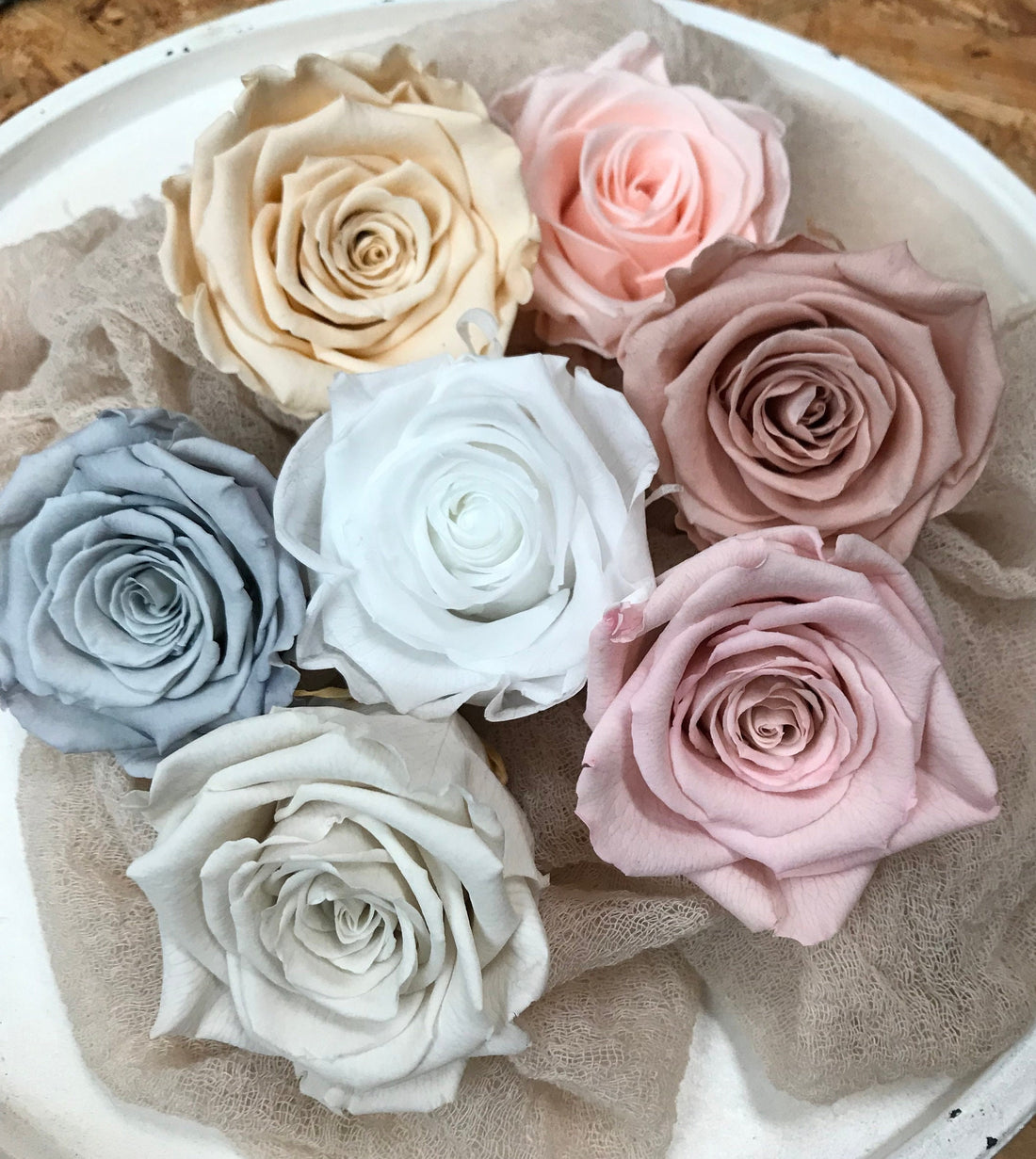 Stabilisierte Rosen I Haltbare Blumen I Preserving Roses I Infinity Roses - in 7 Farben, in 7 colours, Trockenblumen I Dried flowers