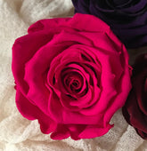 Stabilisierte Rosen | Preserving roses | Infinity Roses | haltbare Rosen